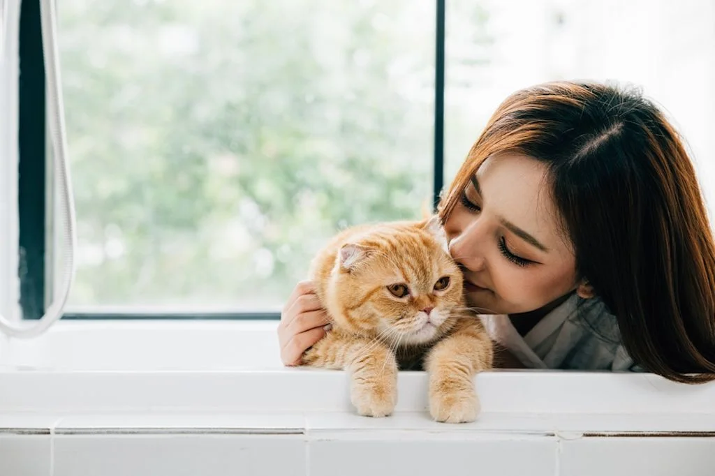 Gato mirando a una embarazada