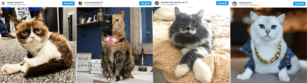 articlecatprofilemin1
