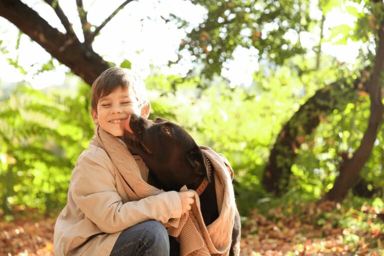 Displasia de cadera en perros: qué es, síntomas, prevención y tratamiento