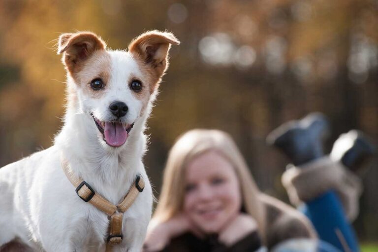 ¿Cuáles son los mejores nombres cortos para perros?
