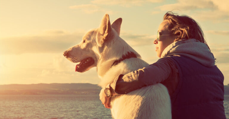 ¿Cómo afecta el cambio de hora a mi mascota? Mi perro no lo entiende