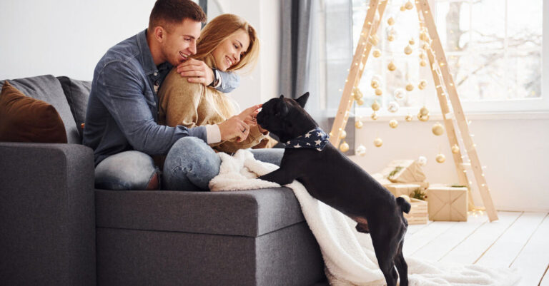 Cómo presentar un bebé a un perro: trucos para preparar a tu mascota
