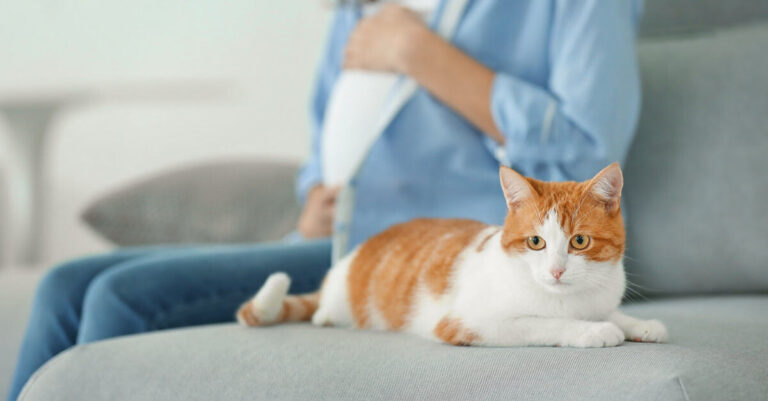 Toxoplasmosis y síntomas en el embarazo