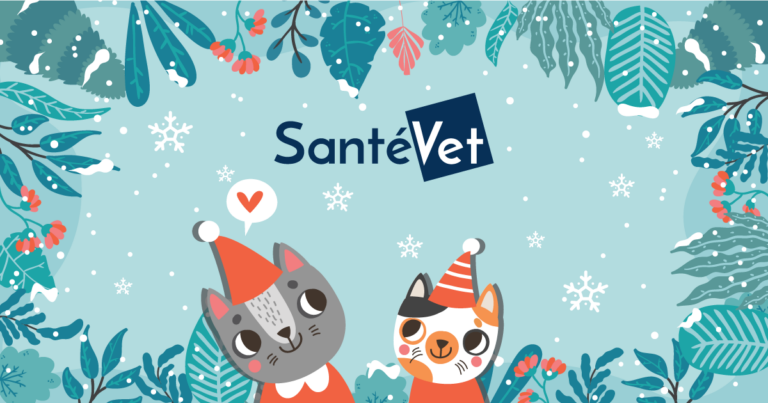 Participa en nuestra Lotería de Navidad 2020 y gana cada día un regalo para tu mascota