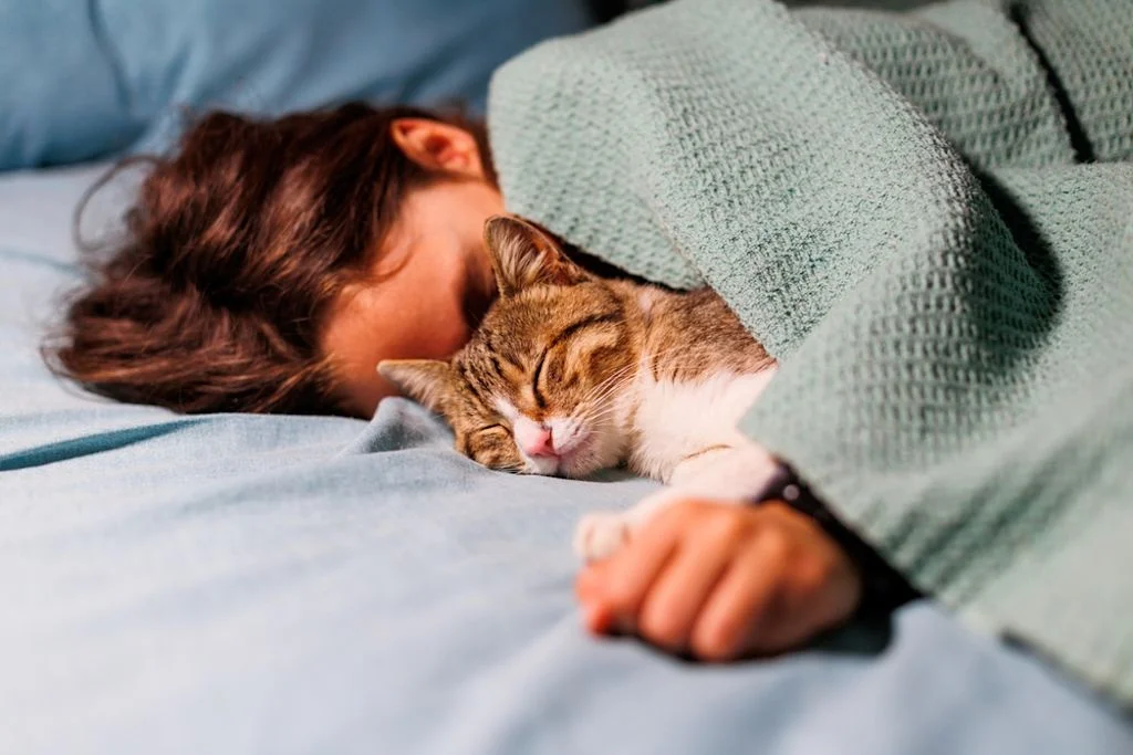 Dormir con un gato