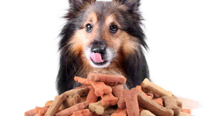 ¿Es tóxica la patata para los perros?