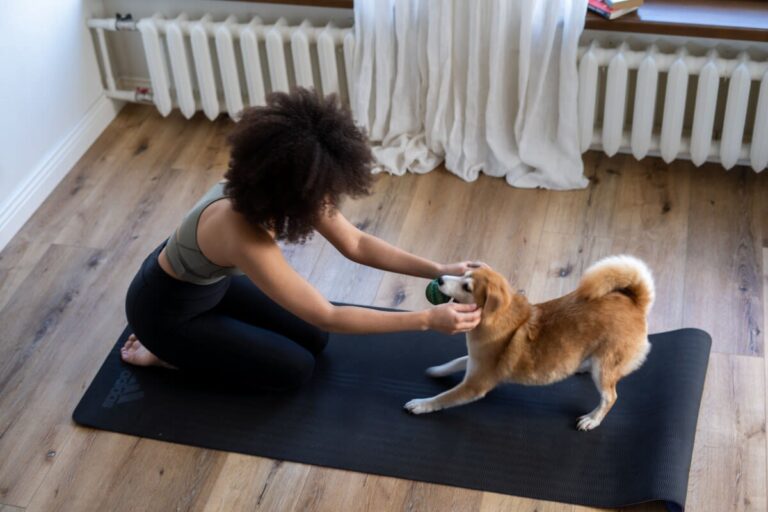 Medicina alternativa para mascotas: ¿cómo y para qué se utiliza?