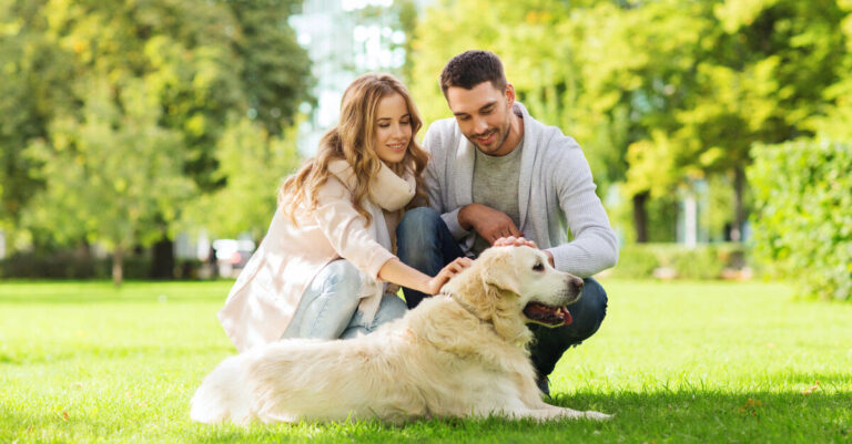 Custodia compartida de perros y gatos: ¿Qué dice la ley en caso de divorcio?