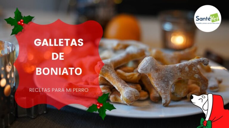 5 recetas navideñas para perros