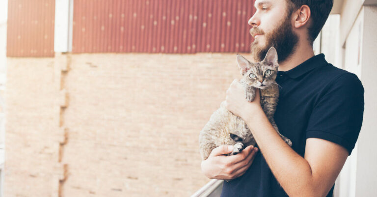 Las razas de gatos más pequeñas del mundo