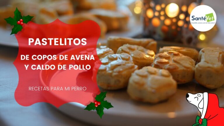 Receta de caldo de pollo para perros: nutritivo y saludable