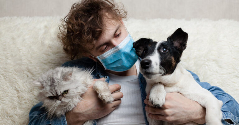 ¿Cómo afecta la COVID-19 a nuestros perros y gatos?