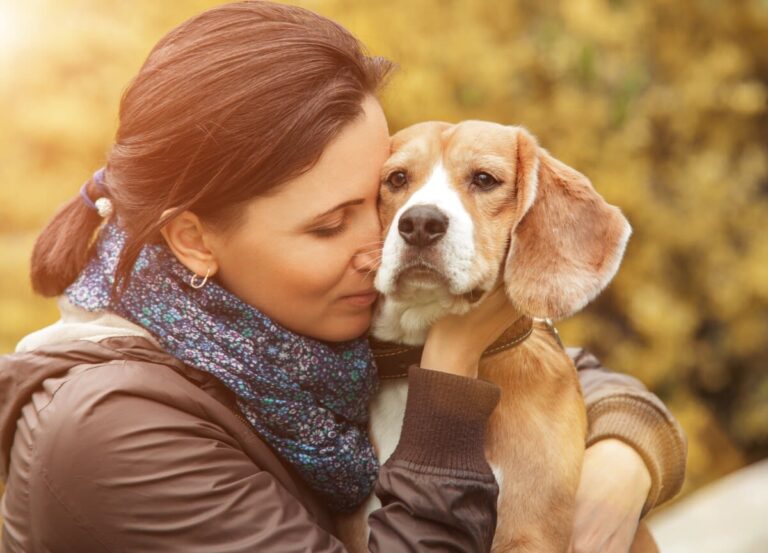 Ránking de países europeos que más respetan a los animales
