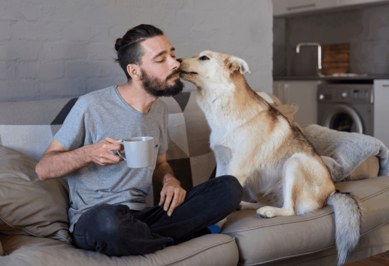 23 de septiembre: Día Mundial del perro adoptado