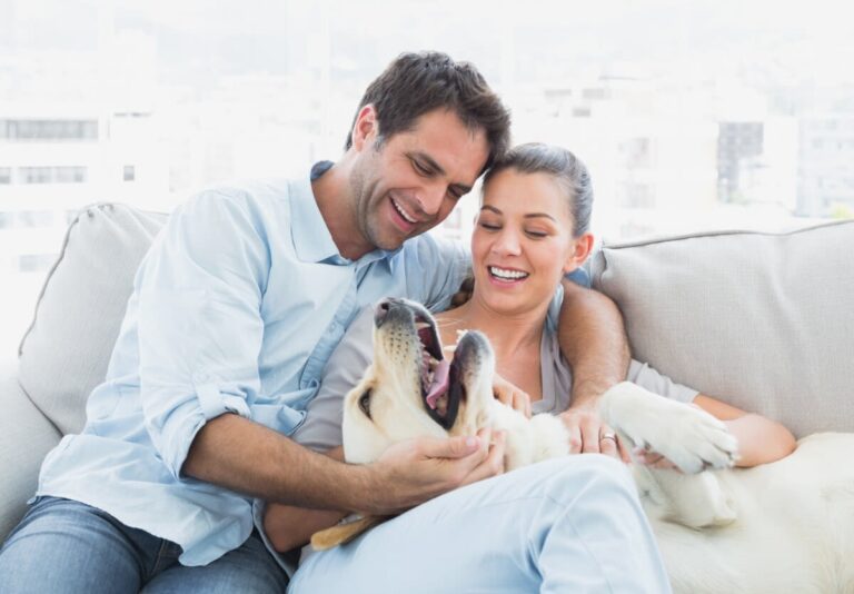 ¿Cómo elegir el mejor seguro para perros y mascotas?
