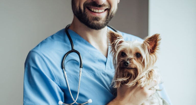 Promoción especial para veterinarios/as y ACV’S: 25% de descuento en tu cuota del seguro