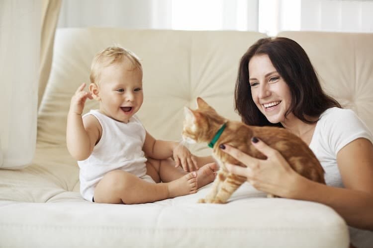 Lombrices en gatos: qué son, síntomas y tratamientos