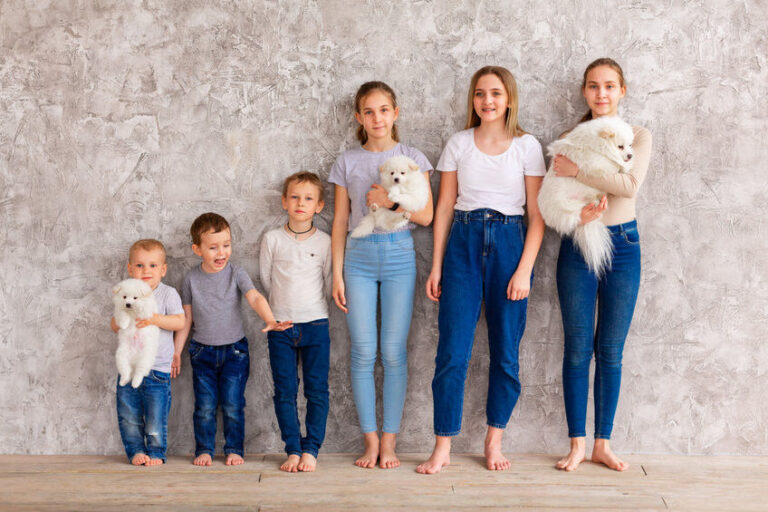 ¿Cómo calcular la edad de un perro en años humanos?