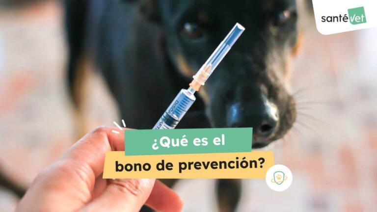 ¿Qué es el bono de prevención incuido en todas las modalidades de seguro?