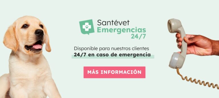 En caso de urgencias veterinarias: Santévet emergencias