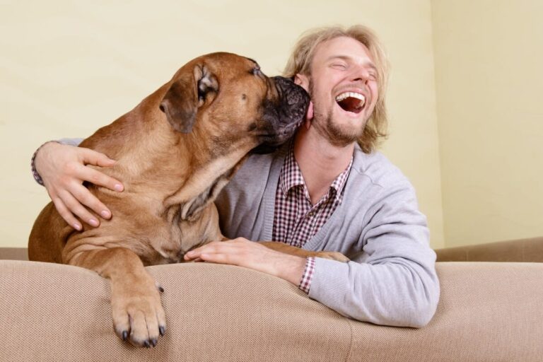 ¿Cómo nos aman nuestros perros y gatos?