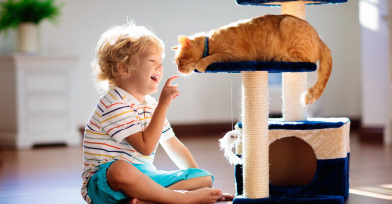 Tu gato necesita juguetes