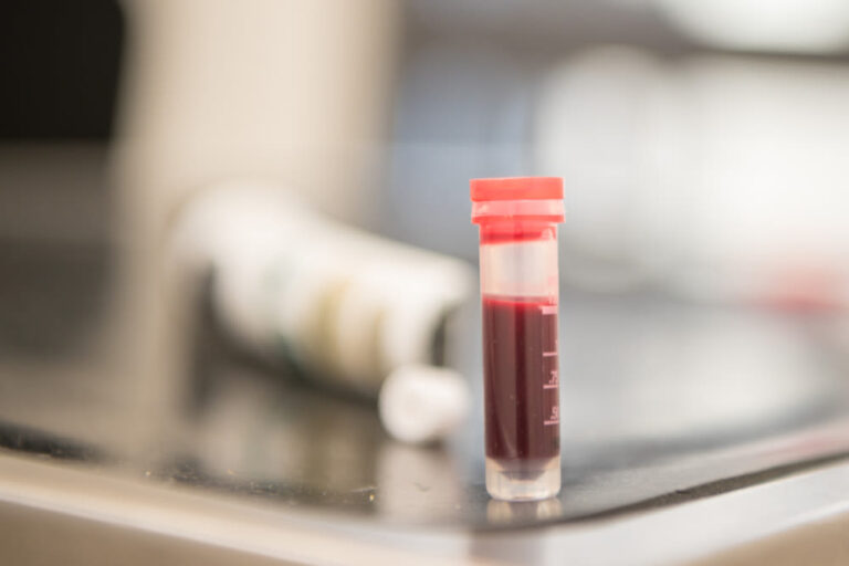 Guía sobre el análisis de sangre en perros: precio, cómo funciona y para qué sirve