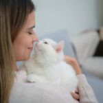 Gato blanco