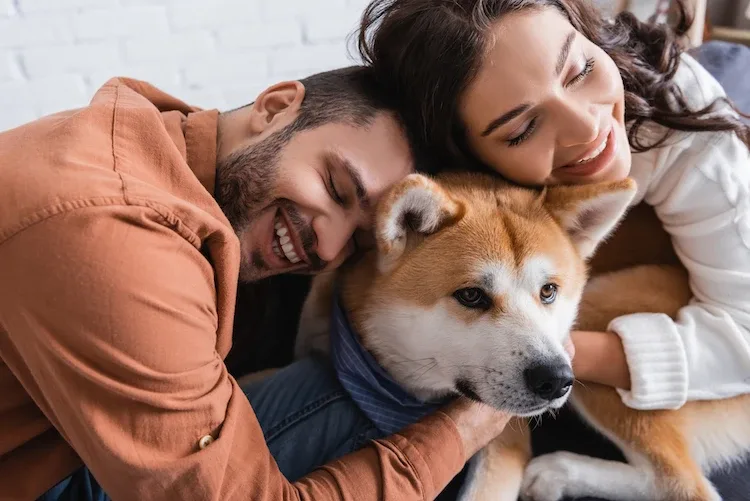 Los españoles dedican su amor incondicional a sus mascotas