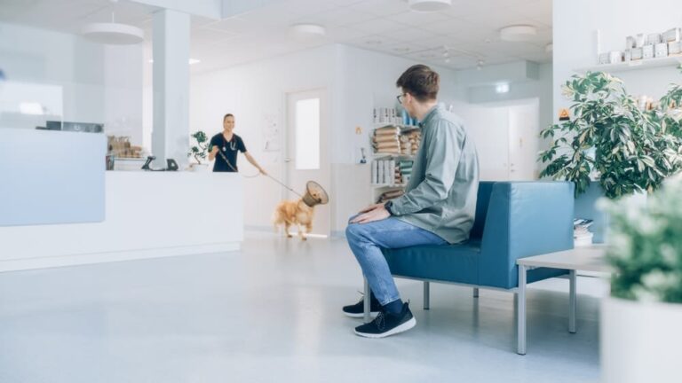 ¿Cuánto cuesta una consulta veterinaria de urgencias?