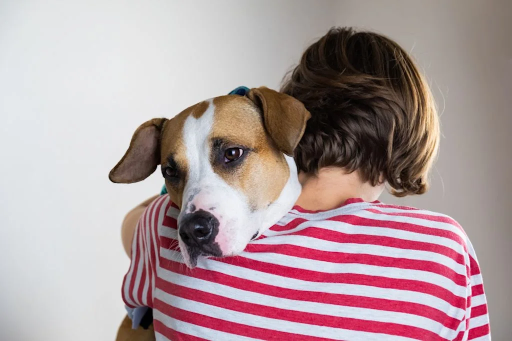 Abrazo