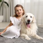 perro cobrador