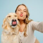 Perros de compañía