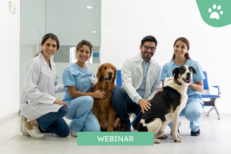 Más valor para tu clínica: cómo los seguros veterinarios benefician a tus clientes y a tu negocio