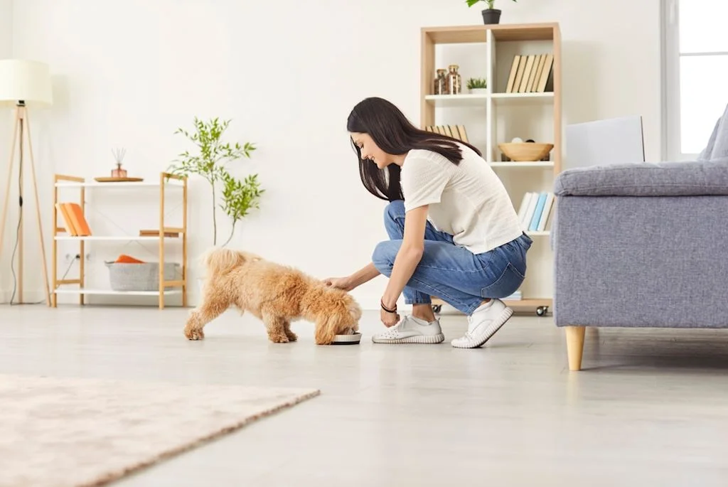 Cuidando de un perro miniatura