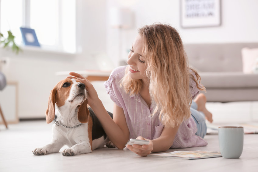 Seguro de salud para perros