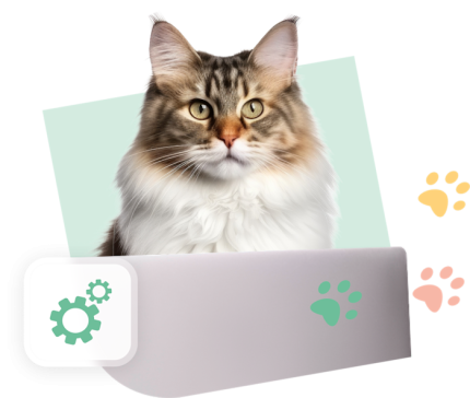 CCM_Visual_Green_Cat