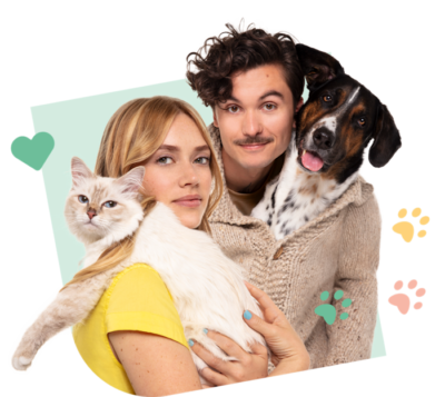 CoupleCat Dog Visual Green 2