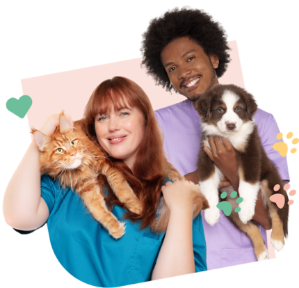 WomanCat_Visual_Green
